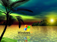 Microsoft Windows XP Professional SP3